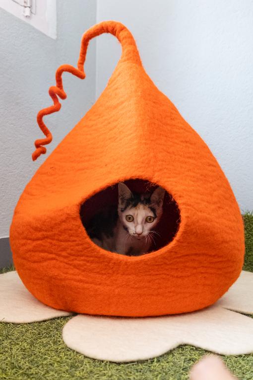 Felted orange pet toy and bed